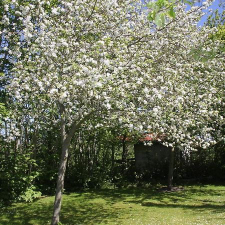 إيه Countryside Eco Natuurhuisjes المظهر الخارجي الصورة