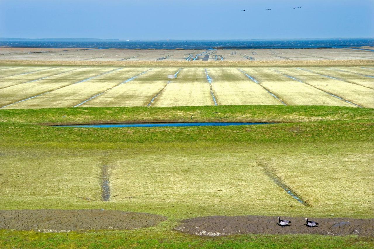 إيه Countryside Eco Natuurhuisjes المظهر الخارجي الصورة
